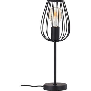 Micasa ANTONIO