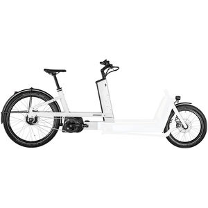 BERGAMONT E-Cargoville LJ Expert