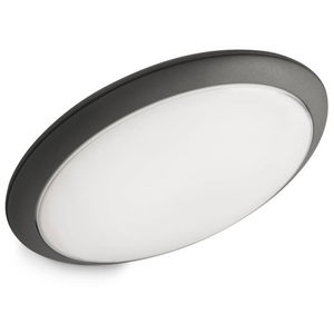 Philips Raven