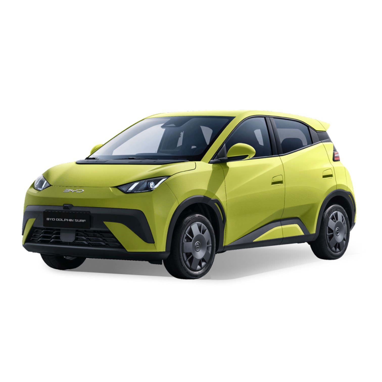 BYD Dolphin Surf