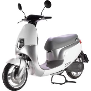 Ecooter E1S