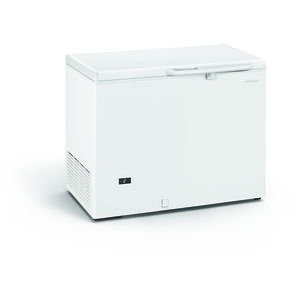 Mondial MAEL 300