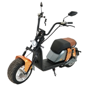 Ridelec Bikers One Sportline