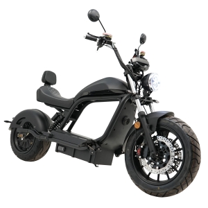 Ridelec Ghostbiker Version 45kmh