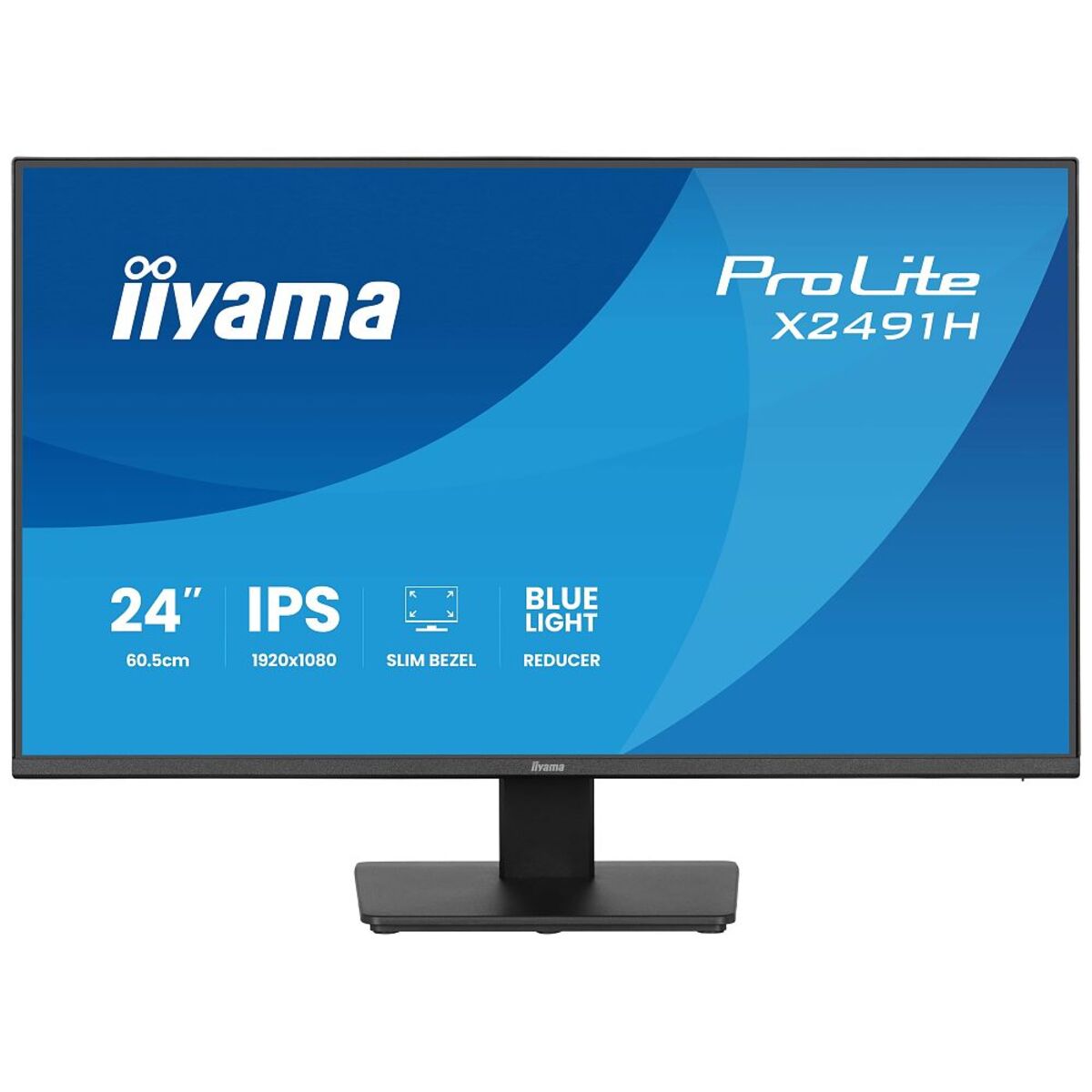 Iiyama ProLite X2491H-B1